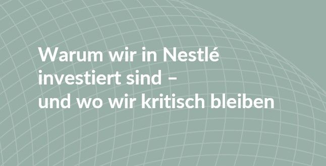 Titelbild mit dem Text: 
